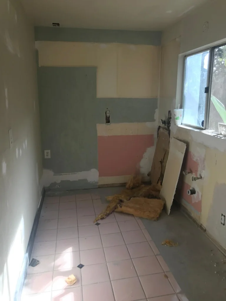 Kitchen Demo 2